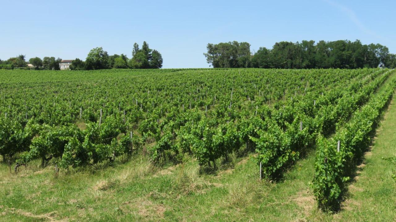 Chateau Begot Lansac  Bagian luar foto